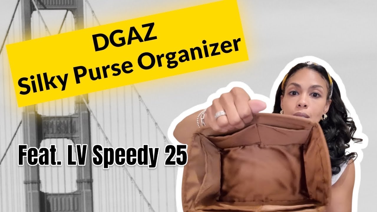 Limited Edition Louis Vuitton Speedy & Luxe DGAZ Purse Organizer 