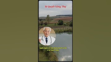 7 Công Dụng Tuyệt Vời Của Lá Tía Tô | Bí Quyết Sống Thọ