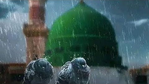 قرآن ينزل على القلب كما ينزل المطر | تلاوة خاشعة بصوت الشيخ هزاع البلوشي اجعل قلبك يستمع |خشوع القلب