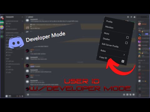 How to enable Developer Mode & Copy user ID - Helper.gg