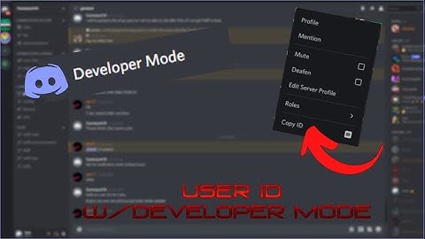 Using Discord User ID with Developer Mode