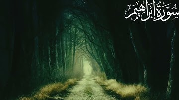 Surah Ibrahim سورة إبراهيم | Relaxing heart touching voice | #quran #surahibrahim