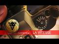 La Vitesse · l'art de l'exposition