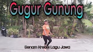 GUGUR GUNUNG //senam kreasi lagu Jawa//@finakreasi-85