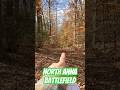 Battle of North Anna: Look at This Historic Road