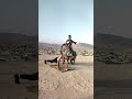 Best YouTube Challenge#mr_hammer73 #shortsfeed #gym #gymworkout #trend