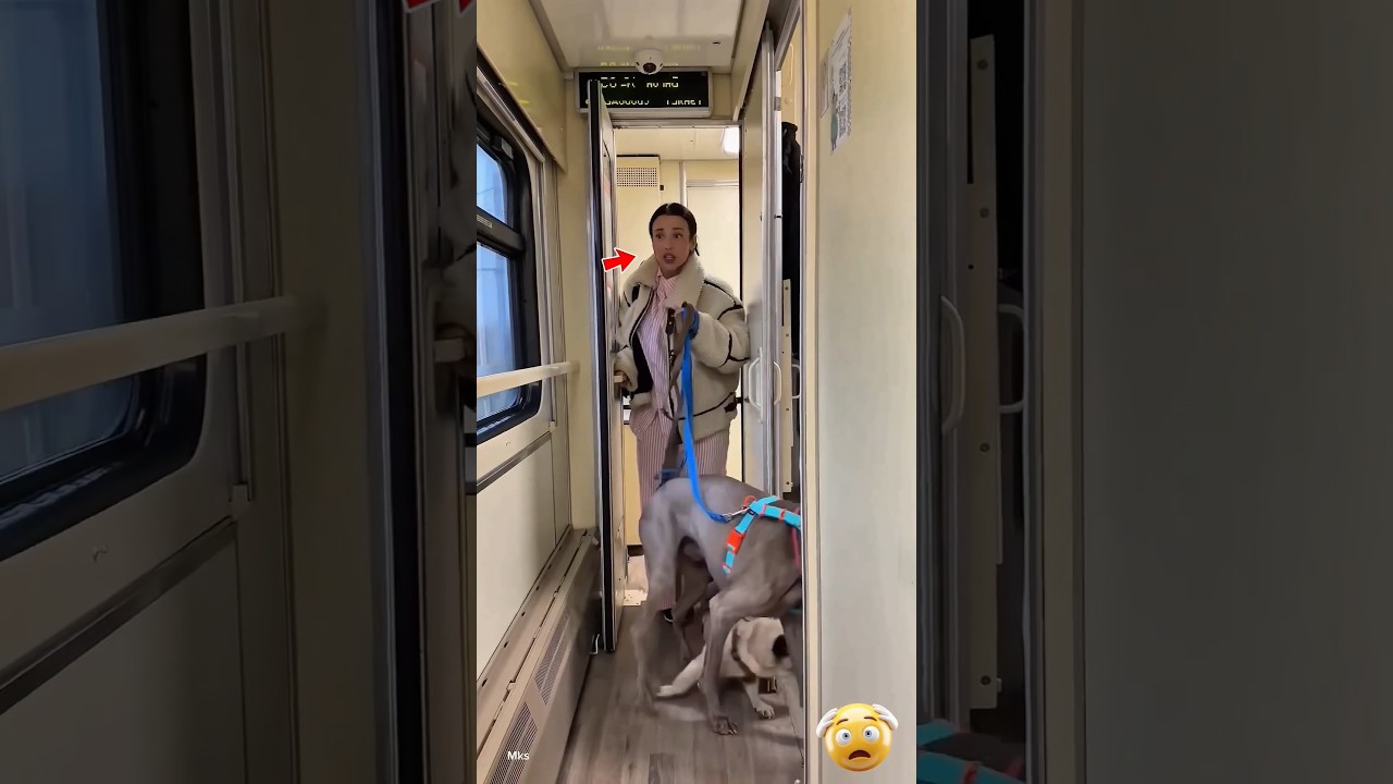Soni Is Going A Train Trip With Her Chintu Mintu 😘🥰😋