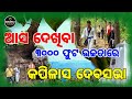 ଆସ ଦେଖିବା ୩୦୦୦ ଫୁଟ ଉଚ୍ଚତାରେ ଦେବସଭା ||  ଓଡିଶା କୈଳାସ, ଢେଙ୍କାନାଳ କପିଳାସ। || Deva Sabha Kapilash Hill |