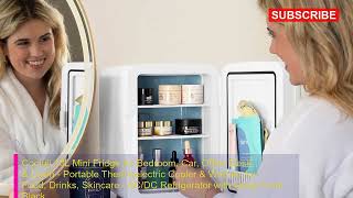Top 6 Mini Can Fridge | Best Mini Can Fridge