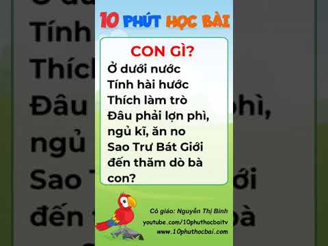 Video ĐỐ VUI - Tập 4 | 10 Phút Học Bài | Cô giáo Bình #Shorts - youtube