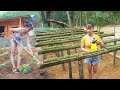 REWIND TIMELAPSE --Unique Technique of Growing Vegetable in Bamboo Tube /from Planting to Harvesting