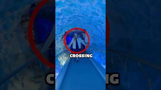 How Did She Crossed This Spinning BRIDGE?😳