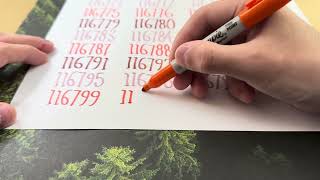 Writing #116800