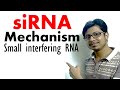 siRNA | Short interfering RNA mechanism of RNA interference