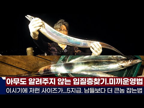 풍낚TV올해 첫 5지급 남들보다 큰놈으로 잡자/아무도 알려주지 않는 입질 수심층찾기와 미끼운영법/고흥 스페셜드림호/Hairtail fishing