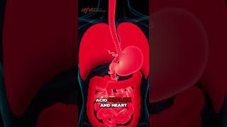 Is Your Acid Reflux Actually a Heart Attack Warning?