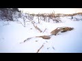 Winter - Nature 4K, 60fps