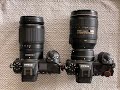 Nikon Z 24-200mm Lens Review & Comparison with 24-120 VR Nikkor