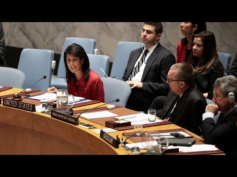 US envoy to UN threatens further military action in Syria - US envoy to UN threatens further military action in Syria
