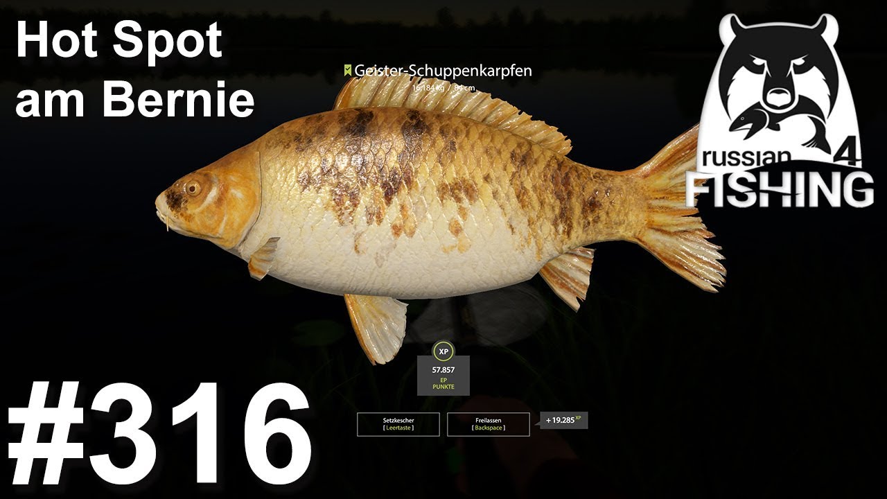 How Much Is The Fish Auf Deutsch