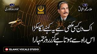 Aik Makra Aur Makhi (Bachon Ke Liye)  Moral Story  Kalam-e-Iqbal  Jawad Raza Qadri
