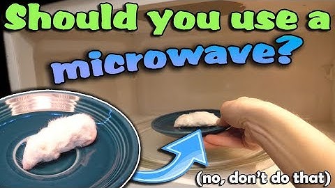 How to Thaw and Store Rodents for Snakes (and where to buy them)