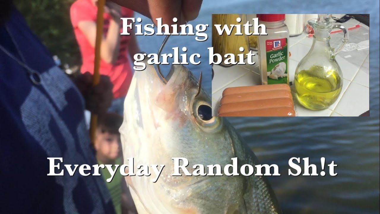ERS goes fishing with hot dogs in garlic powder. YouTube