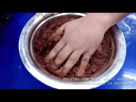 Experiment 5 Determination of Unit Weight Of Cohesive Soil