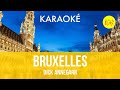  bruxelles dick annegarn karaok