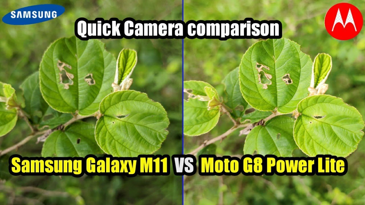 Samsung Galaxy M11 Vs Motorola G8 Power Lite Camera Comparison Moto G8 Power Lite Tech 4 Camera Youtube
