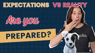 New Puppy Expectations - Are You Prepared