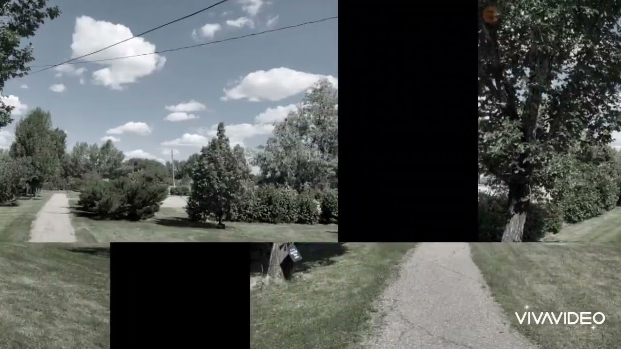A Gull Lake Minute: Little Green of the Prairie Park content media