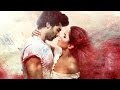 Fitoor Movie - Aditya Roy Kapoor - Katrina Kaif | Full Bollywood Movie Promotion