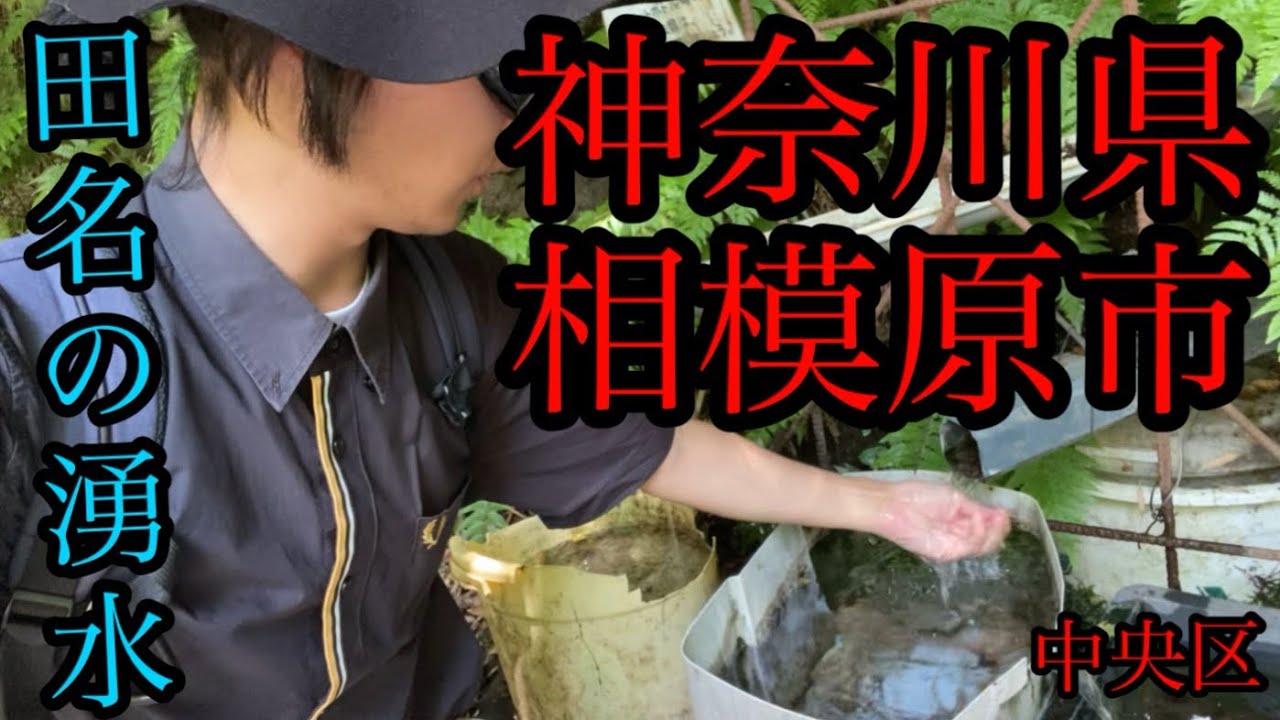 探せ！田名の湧水は神奈川県の断崖絶壁にあり【神奈川県相模原市中央区/石切場/番田駅】