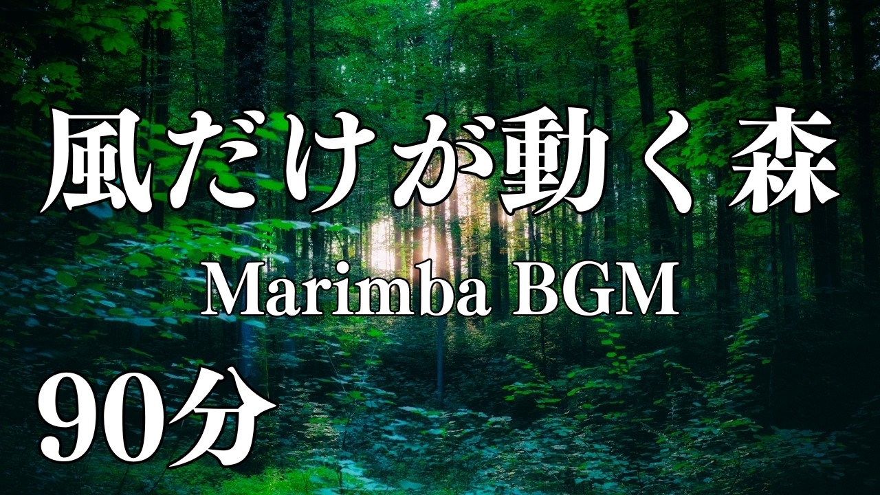 風だけが動く森のマリンバ｜静かな自然のBGM
