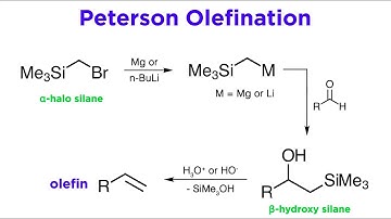 Peterson Olefination