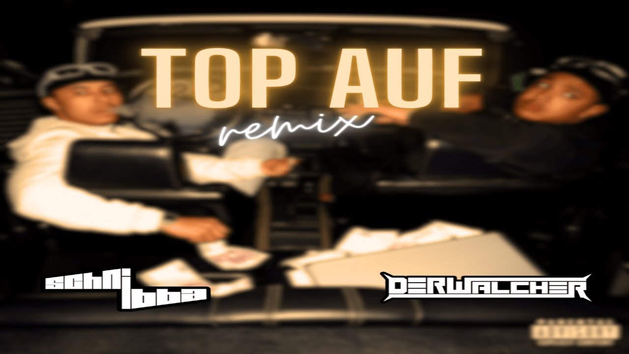TOP AUF - schnibba, der Walcher [remix]