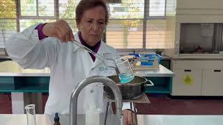Química 2. Práctica No. 3 Estequiometría