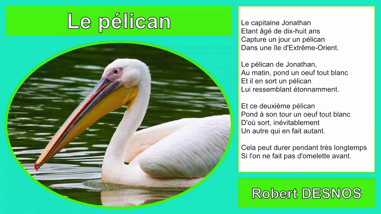 Le pélican de Robert Desnos - YouTube