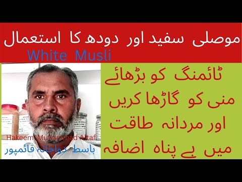 موصلی سفید اور دودھ کا استعمال ٹائمنگ کو بڑھانے اور مردانہ طاقت میں بے پناہ اضافہ کریں