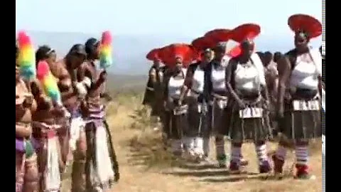 Thokozani Langa-Savumelana