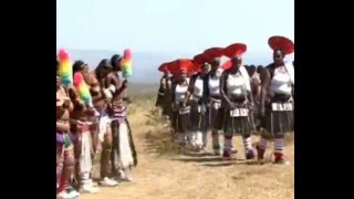 Video thumbnail of "Thokozani Langa-Savumelana"