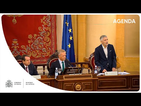 Grande-Marlaska participa en el homenaje a los funcionarios públicos por la gestión de la COVID19