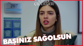 Kırgın Çiçekler Özel Kısa Bölümler | 237