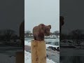 что это?🤔