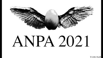ANPA 2021: Mike McCulloch - Quantised Inertia