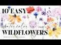 Paint ten easiest wildflowers with watercolor  create your summer sketchbook in loose style