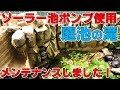 ソーラー池ポンプ使用の庭池の滝「メンテナンスしました」【2019#068】