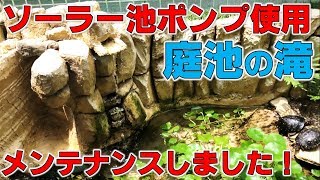 ソーラー池ポンプ使用の庭池の滝「メンテナンスしました」【2019#068】