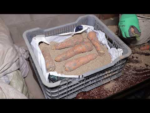 Video: Кеч алмаларды кантип сактоо керек